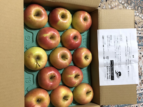 【このりんごを嫌いな人はいますか？？】名月　3キロ箱 6玉〜15玉サイズ 商品ID44435 ぐんま名月 甘い 信州 リンゴ 幻 幻のリンゴ 予約 希少 10月29日から