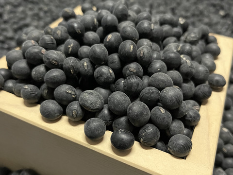 黒大豆250g＋大納言小豆　250g  丹波篠山産