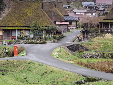 20個 国産とうもろこし100%給餌◆コクと旨味が際立つ純国産鶏 京都美山 平飼いたまご「唯 yui」10玉入り2パック