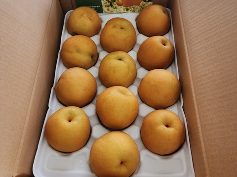 大豊作800円引き‼️【ちょっと訳ありですが良品です😋】豊水梨約5kg(12-16個入)✨️𓈒少しの汚れや変形で贈答用に入れなかった梨達の詰め合わせ🍐味も日持ちも贈答用とほとんど変わりません‼️