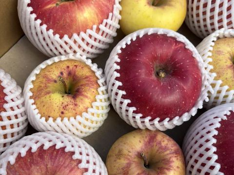 訳あり 大玉サンふじと小～中玉 ぐんま名月 5キロ箱  長野県産