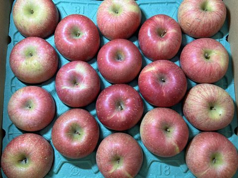 サンふじ　信州産　訳あり品　約10kg