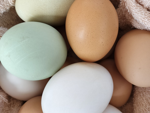 色々な卵３0個と美味しい野草3種のセット　合鴨アヒルの卵野菜セット