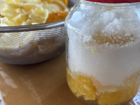 夏みかん　「昔ながらの爽やかで酸っぱい柑橘」9kg