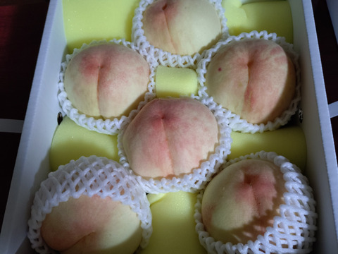 【家庭用】岡山白桃 2㎏5玉～8玉