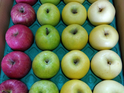 サンふじ王林シナノゴール金星5キロ