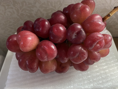 特別栽培ぶどうマイハート♡山形県産♡かわいいだけじゃない香り高いブドウ♡