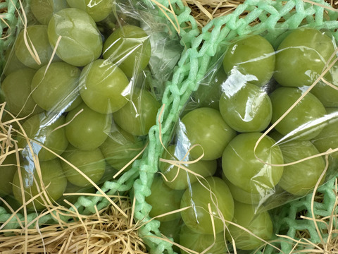 山梨県産「シャインマスカット」