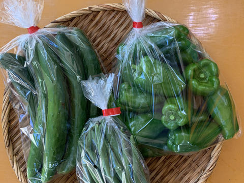 旬の採りたて野菜3種類お試しセット:part1(数量限定です)