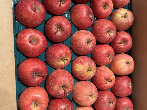 【ギフト】【小玉りんご】5kg 甘い！美味しい！家庭用小玉サンふじ(25~28玉)よく、どこに傷があるの？と聞かれます 長野県山ノ内町志賀高原麓