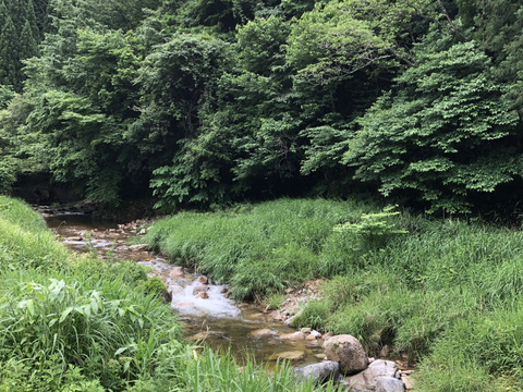 【アワード受賞福袋】有機野菜5～7種とお米（お試しサイズ×２袋）、加工品の詰め合わせセット