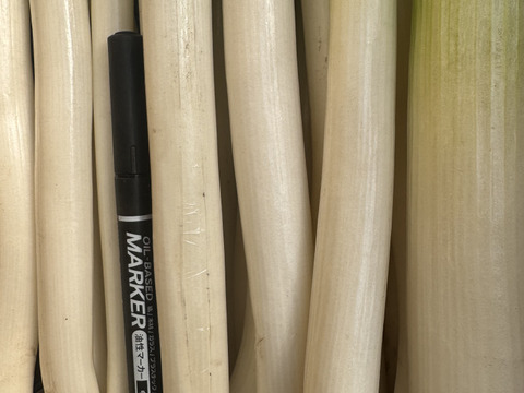 甘い長ネギ有機肥料栽培　除草剤不使用　群馬県産　40本　訳アリ