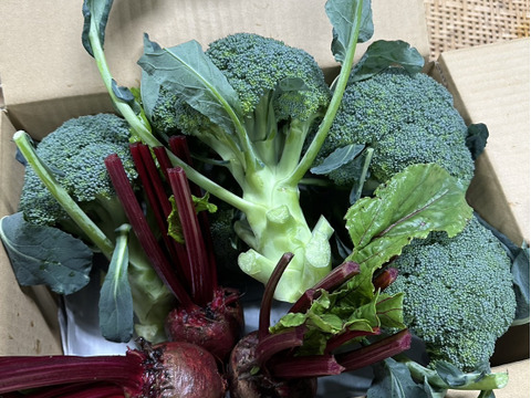 栄養満点！ブロッコリーとビーツのスーパーフードセット