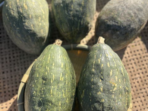 有機JAS認証☆彡万次郎かぼちゃ2個セット☆彡約3㎏：栃木県産の
