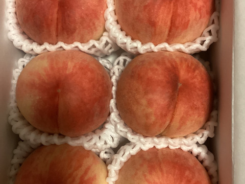 【超特価】１.２ｋｇ（５~６個位）Ｘ２箱　「あかつき」８月１０日販売終了