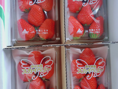 【限定SALE!!すぐ発送】
食べやすいサイズのスカイベリー