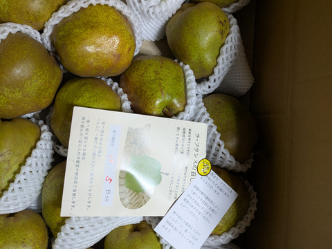 5kg★名和果樹園の訳あり自宅用ラフランス★山形県産2L280g以上★産地直送お取り寄せ通販