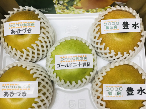 【旬の梨食べ比べ‼️3～5品種】何が届くかお楽しみ😋贈答用2.5kg以上、豊水・あきづき・かおり・あきあかり・二十世紀・南水・にっこり・新高・王秋・新興・愛宕の中から3品種以上詰め合わせます‼️