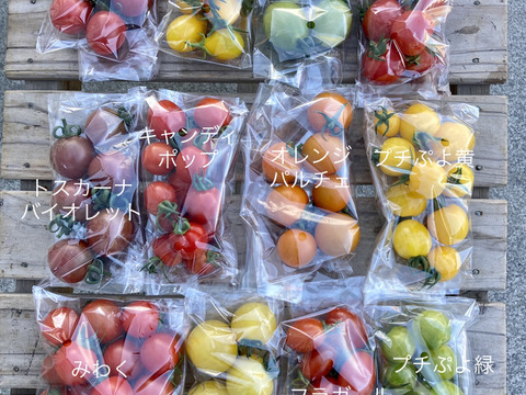 9種のカラフルミニトマト1000g【トマト食べ比べ】