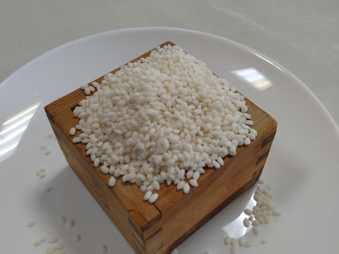 2025年産もち米（モチミノリ）4.2kg白米