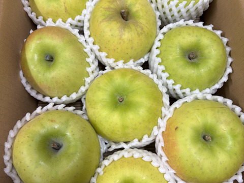 🍏売り尽くし🍏黄色りんご「もったいない」レスキュー便　【規格外品】３Kg　９個から１５個入り