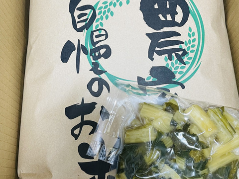 【新米】農薬化学肥料不使用　信州伊那谷★コシヒカリ(白米)2025年産・10㎏