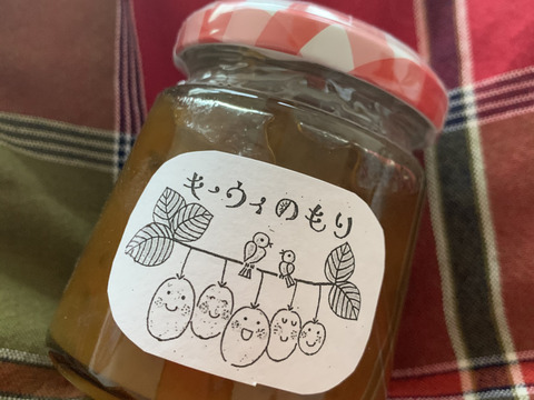 コロナ生活応援価格 キウイ畑のゴーヤジャム 愛知県産 食べチョク 農家 漁師の産直ネット通販 旬の食材を生産者直送