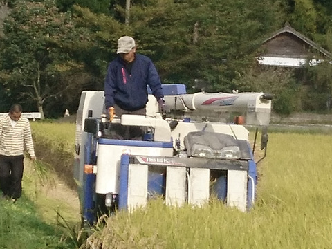 令和７年新米！阿蘇の南小国産　パワースポット押戸石清流米ミルキークイーン(10kg)