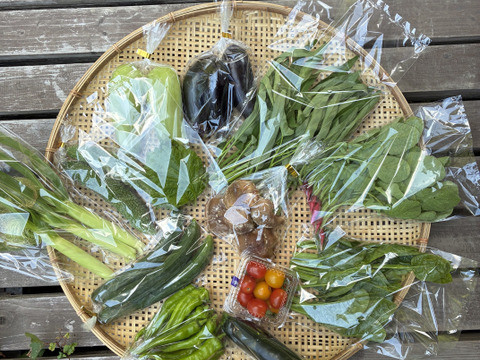 【一日限定1組！】キノコと夏野菜、詰め得ＢＯＸ　８袋のところ10袋以上！