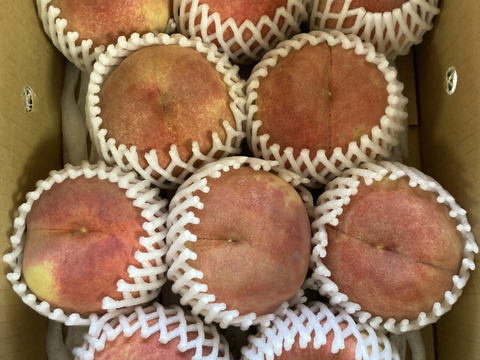 🍑さくら白桃🍑3キロ箱 訳あり家庭用：山形県産の白桃｜食べ