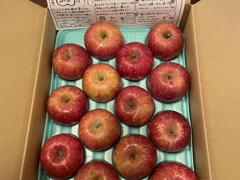 ご家庭用　サンふじ　約5kg(10個〜20個)