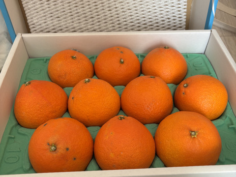 とろける・プル甘！ひめまる愛果まどんな（規格外品・３Kg）