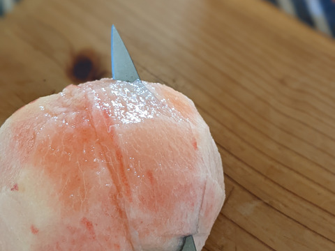 朝採りの樹上完熟・小布施町のみずみずしい桃「なつっこ」　自家用3キロ