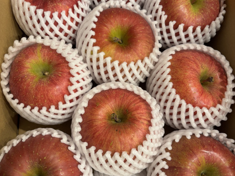 【販売開始！人気商品】青森県産りんご「サンふじ」家庭用 キズ有 約3kg 【美味・光センサー選果済】