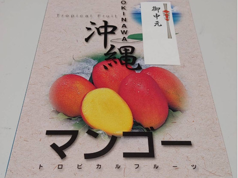 ≪優品≫名護市最北端 イナミファームの アップルマンゴー １．５ｋg