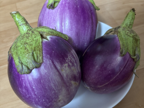 食べてみましょう！とろけるイタリア伝統野菜丸ナスロッサビアンコ２K