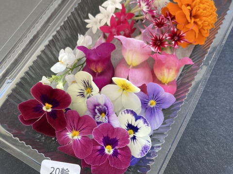 【週末発送★数量限定】マイクロハーブ　5種セット/各２g＆エディブルフラワー MIX20輪　セット