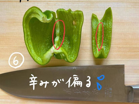 10/31締切‼︎甘くて辛い！長野・信州の伝統野菜ぼたんこしょう（１ｋｇ  約１５〜２０個）