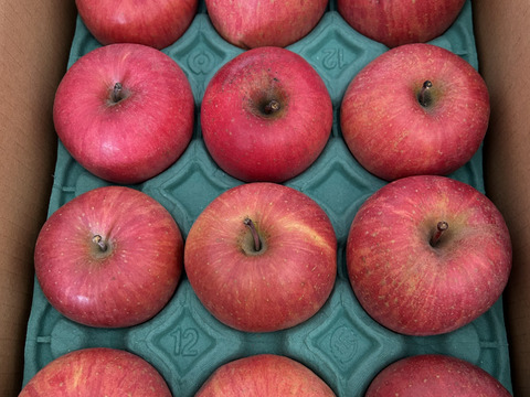 コレハお得だ！！完熟サンふじ　かわいいサイズ「小玉ちゃん」　丸かじりサイズ　お値下げ総決算価格！！　2.5キロコース（12個から13個入り）ご好評販売中