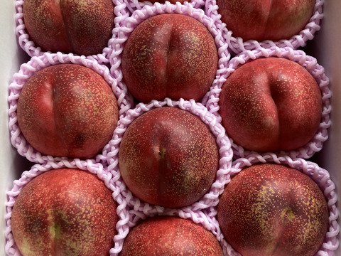 ネクもも🍑ハネージュ🍑3キロ箱(10玉〜12玉)化粧箱