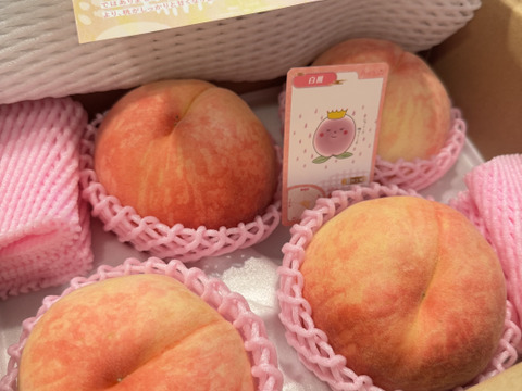 【長野県産】　みなみ信州　白鳳　桃　糖度13度　16個 夏ギフト】甘くてジューシー『白鳳』糖度13度以上1.5kg（4-6玉
