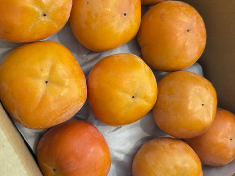 味わい深いコク＊富有柿＊【訳あり】中箱大玉（L/2L）約5kg