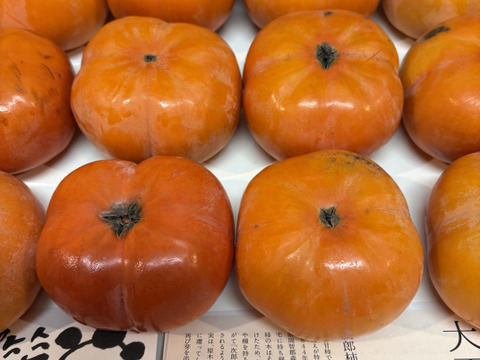 【冬に食べる】幻の柿 次郎柿！ワケありお徳用　中玉サイズ12〜14個入（3ｋｇ）