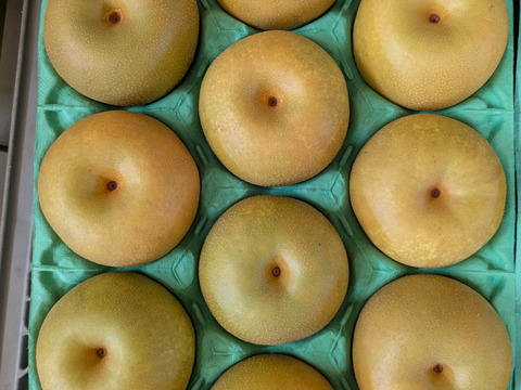 幸水呉羽梨9,10玉3ｋｇ