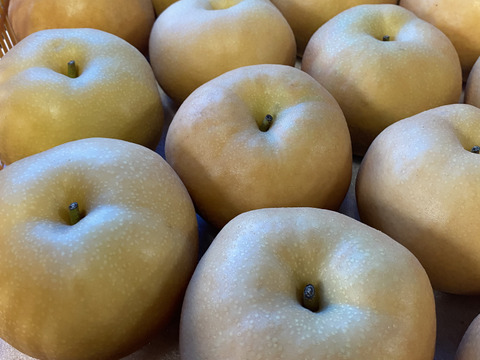 梨っ （ُ م ُ）　南水梨 A品 3kg