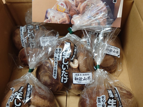 肉厚ボリュームの菌床生しいたけ１㎏！