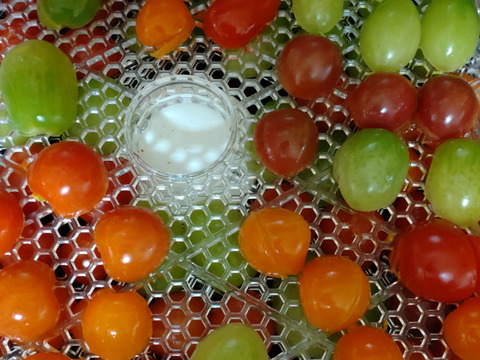 【２袋セット】トマト農家の自家製ドライトマト（２５g）　本場イタリア仕込み！　旨味！　おつまみ！　お子様への安心オヤツ！