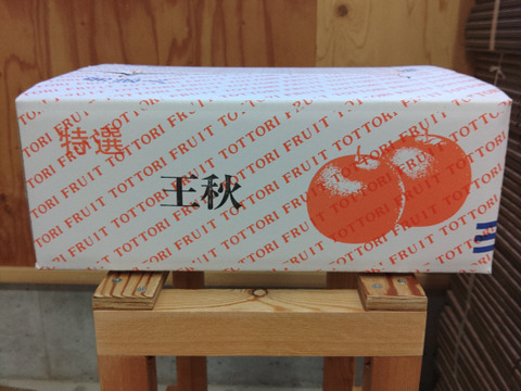 【鳥取産】王秋梨！
