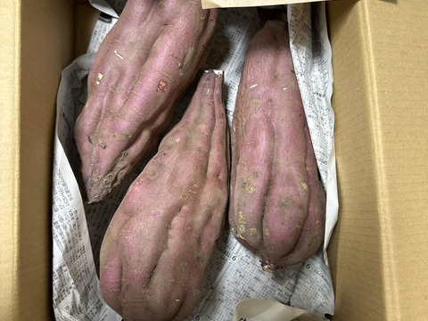 訳あり＊紅あずま3kg＊栽培期間中農薬化学肥料不使用