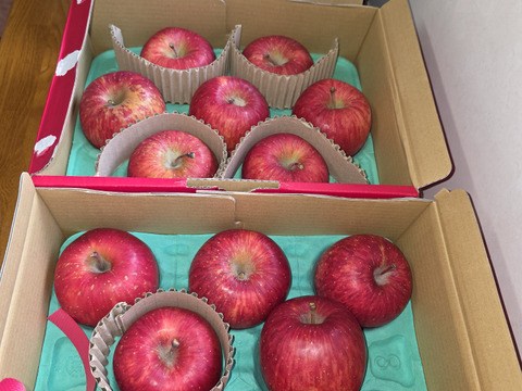 【蜜入保証】【サンふじ】（2kg・9～10個入り）パリパリ・ジューシーお得な家庭用